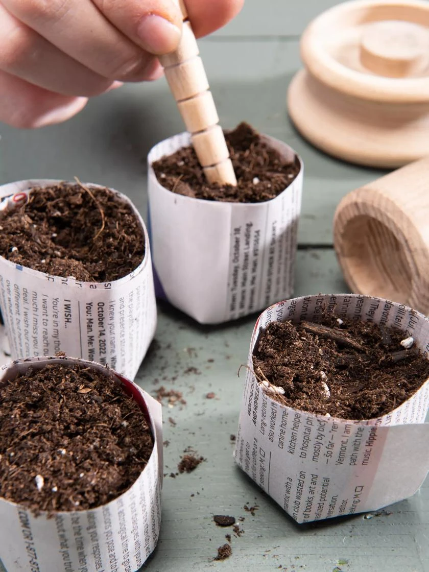 Organic Seed Starting Mix, 6 Quarts - Image 2