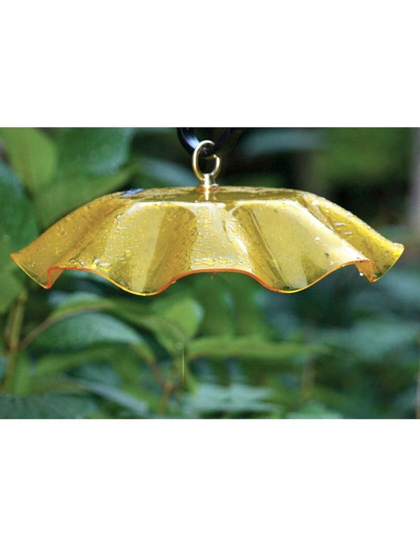 Birds Choice Weather Guard Feeder Cover - Image 2