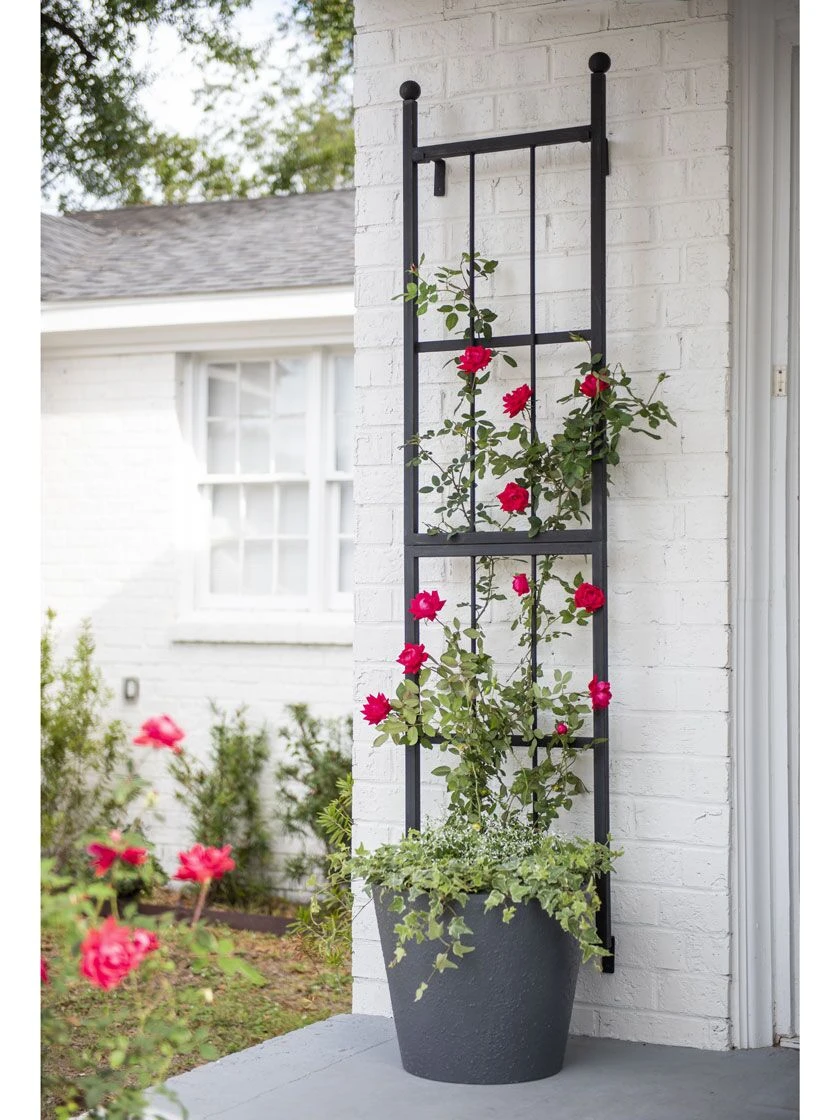 Essex Wall Trellis
