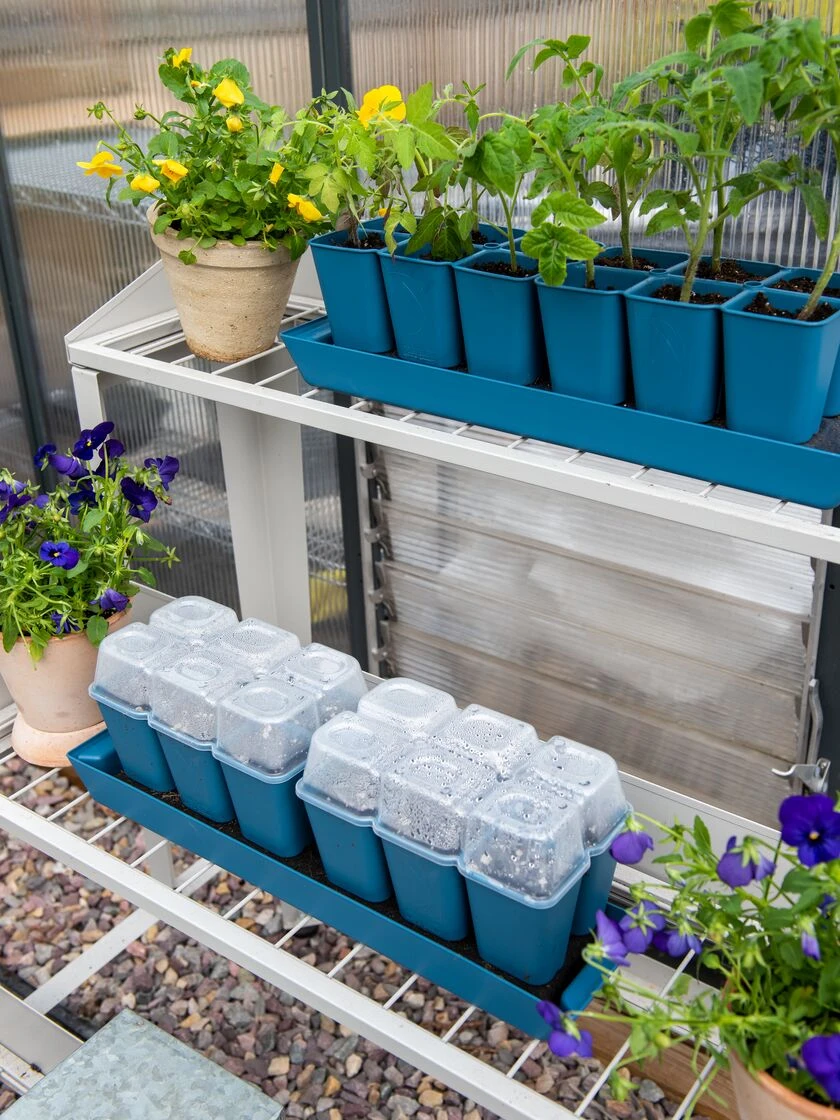 Gardener's Best® Humidity Dome, Set Of 2 - Image 2