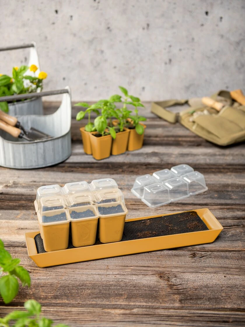 Gardener's Best® Humidity Dome, Set Of 2 - Image 3