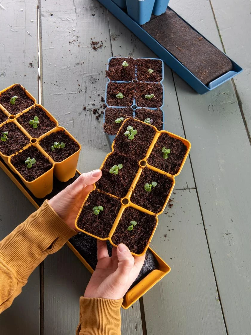 Gardener's Best® XL Seed Starting Kit - Image 9