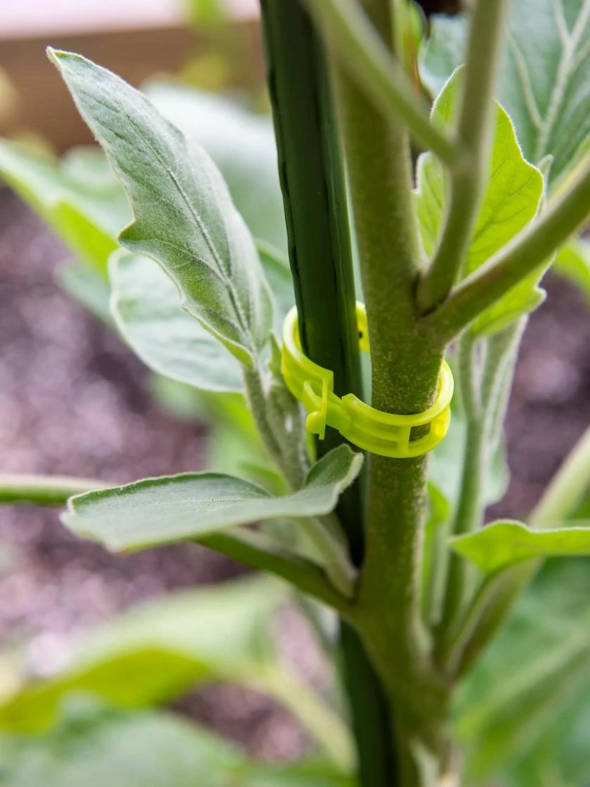 Garden Clips, Set Of 48 - Image 2