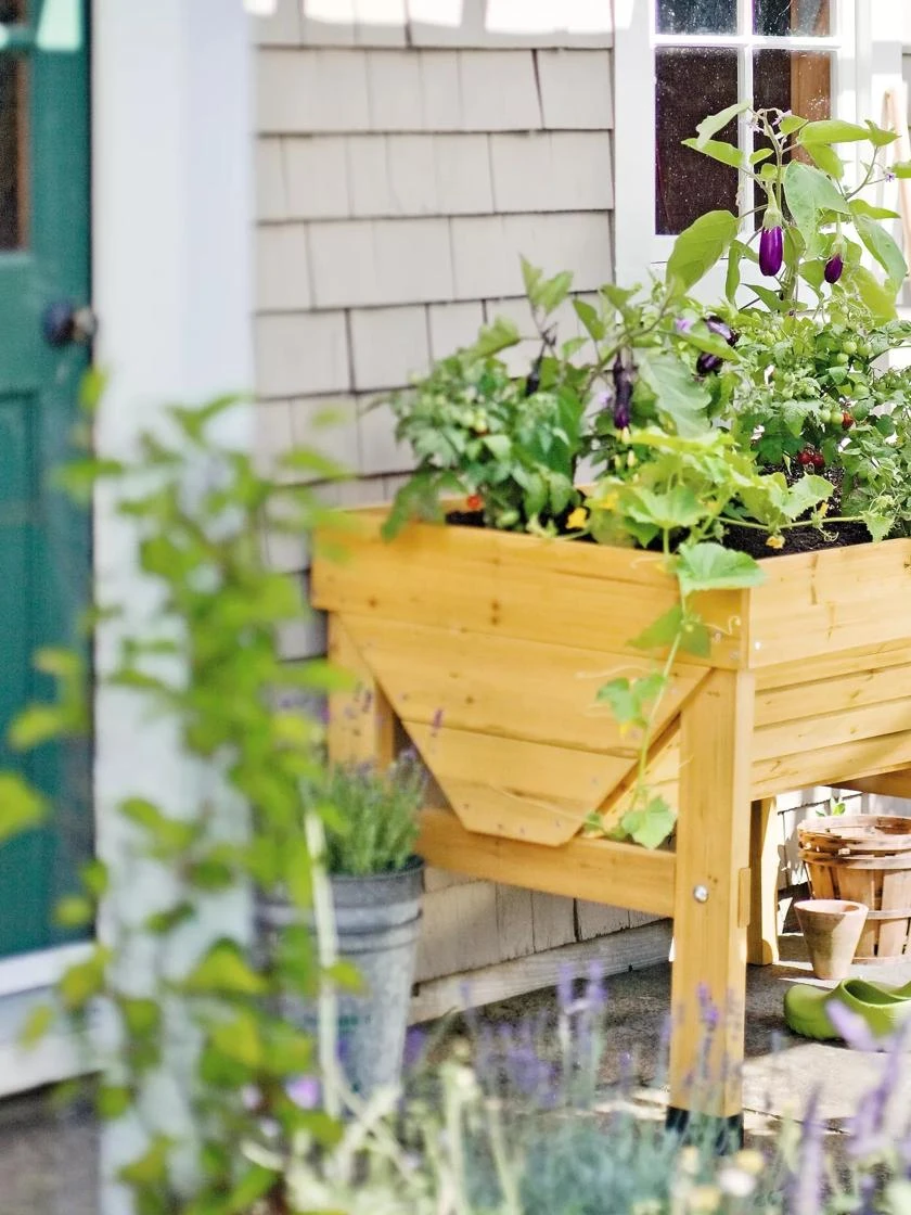 Compact VegTrugĀ® Patio Garden - Image 2