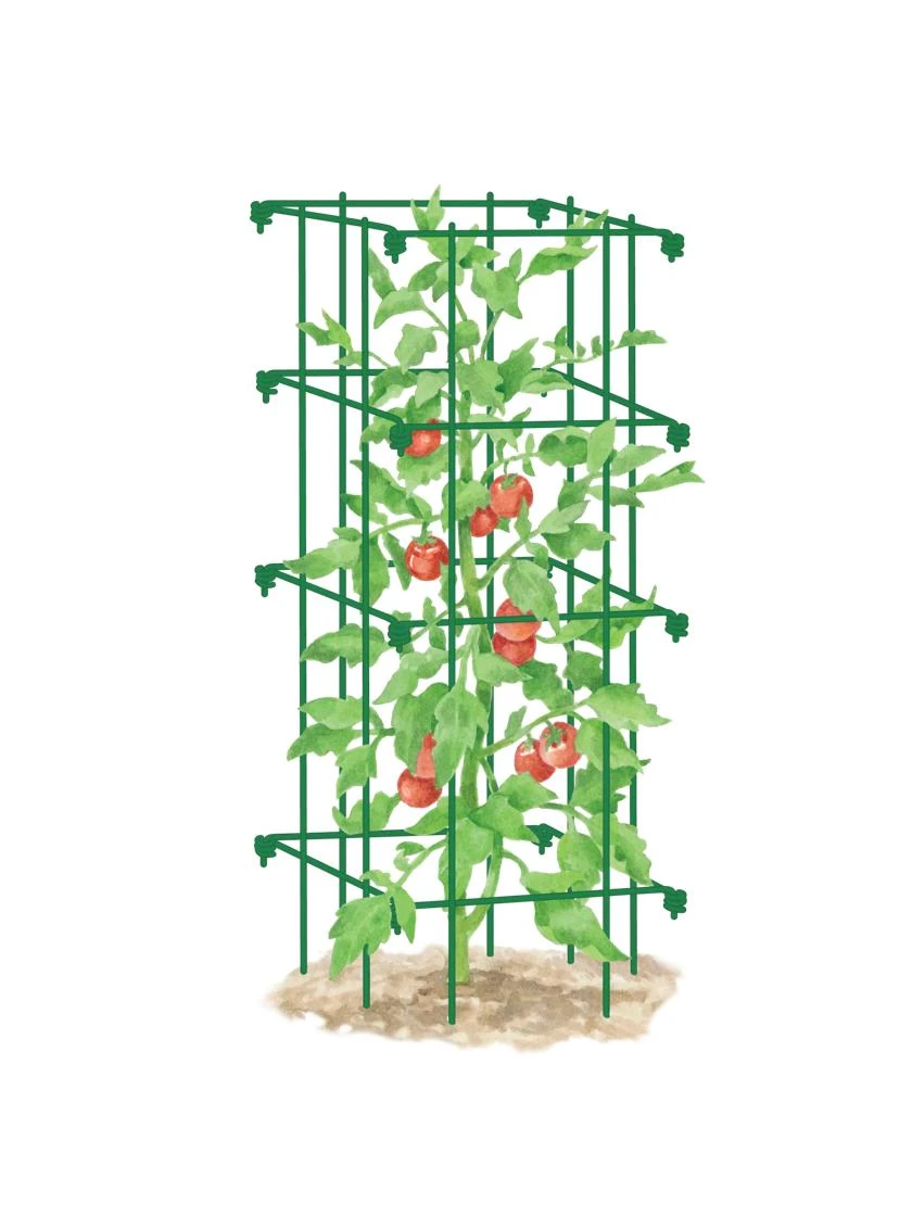 Tomato Cage, Single - Image 4