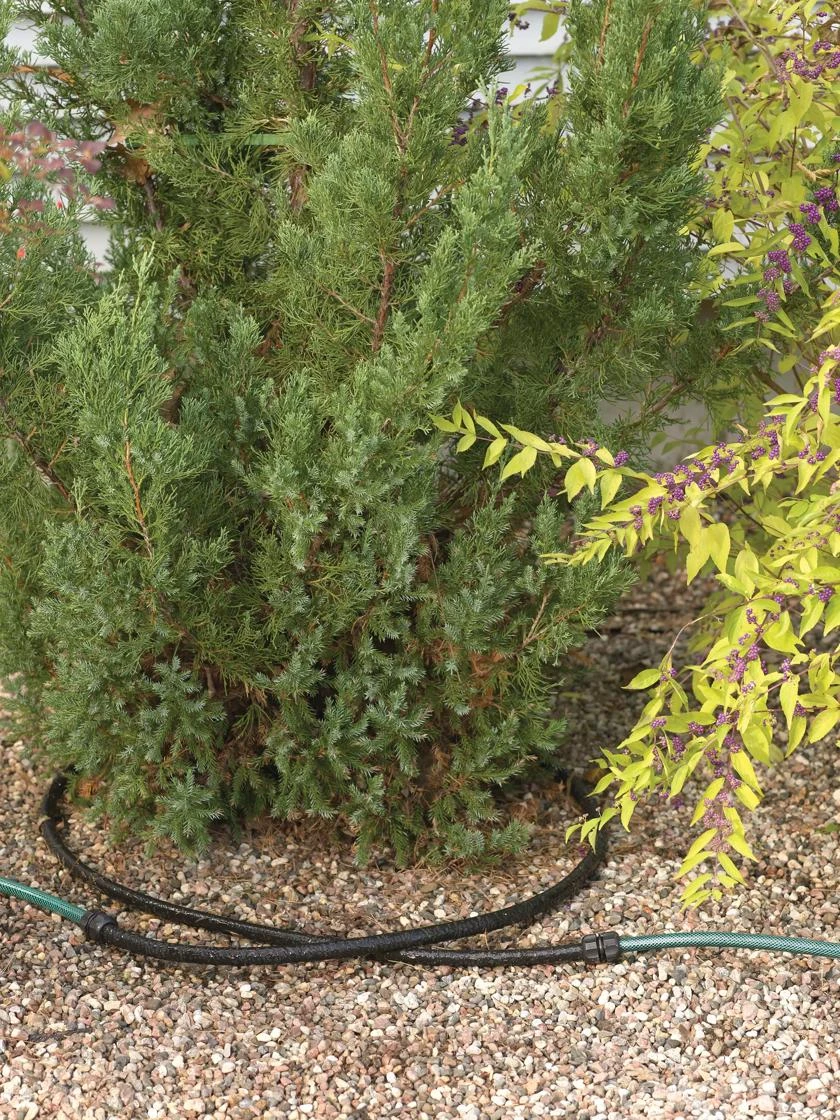 Landscape Snip-n-Drip Soaker System