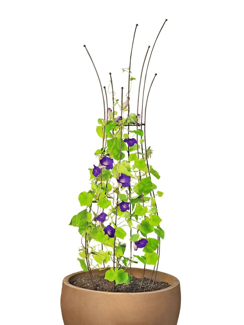 Jardin Pot Trellis - Image 6