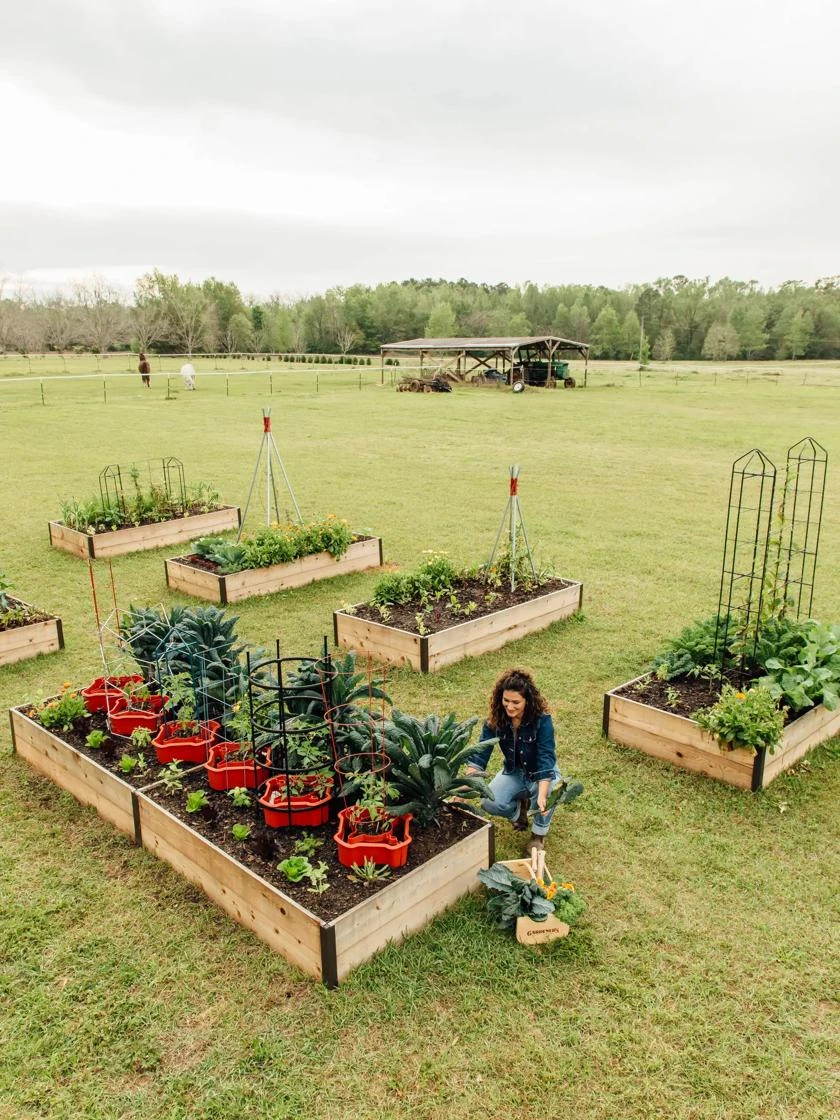 Deep Root Raised Beds, 14" Deep 4' Wide - Image 4