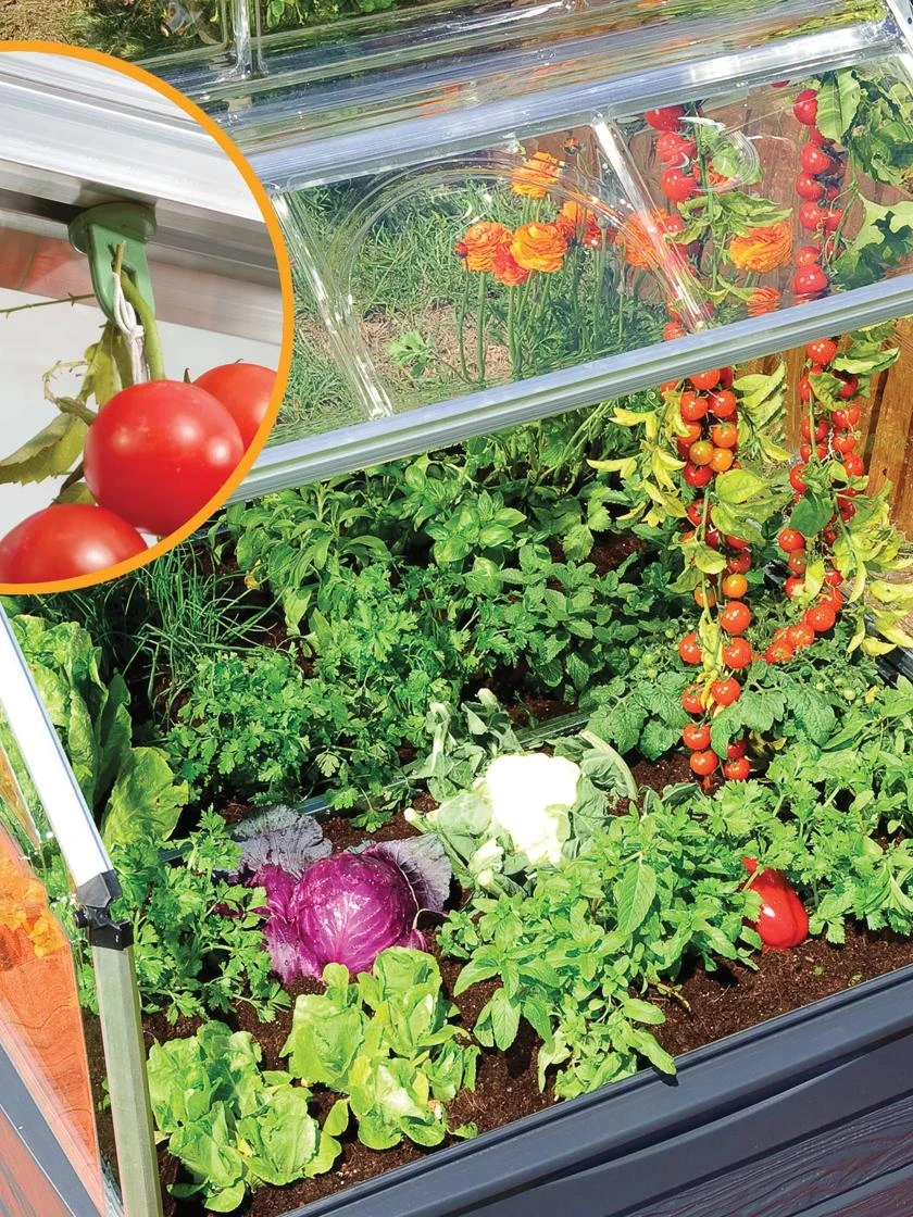 Canopia® By Palram Plant Inn™ Raised Bed Greenhouse, 4' X 4' - Image 11