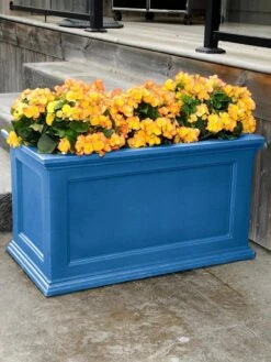 Fairfield Self-Watering Patio Planters, 20ā X 36ā