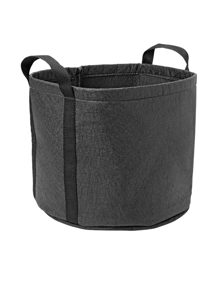 Hemp Grow Kit - Image 4