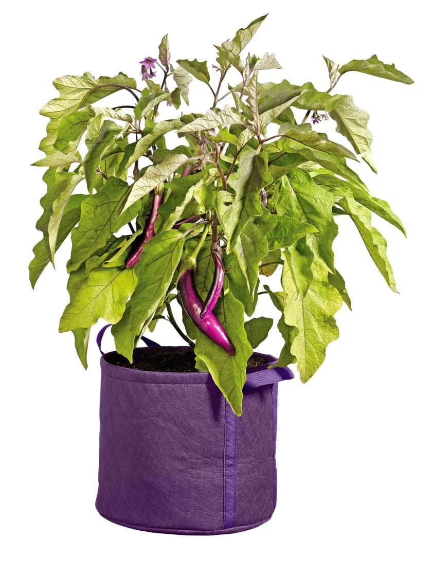 Gardener's Best® Universal Grow Bag - Image 4