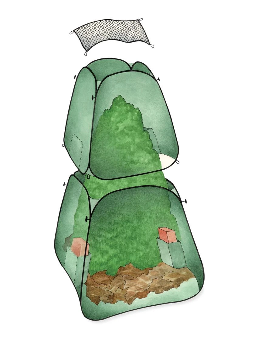 Pop-Up Plant Protector - Image 4