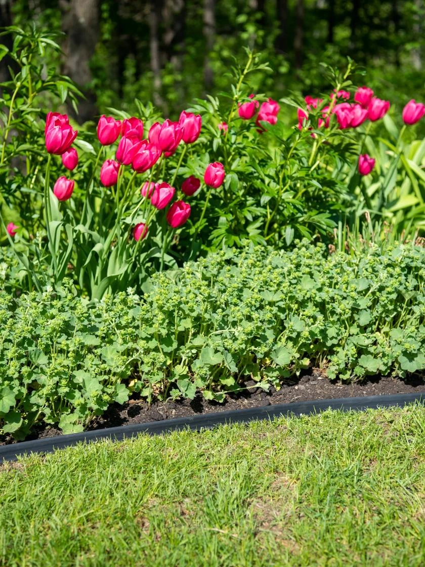 EasyFlex™ No Dig Edging, 50' - Image 2