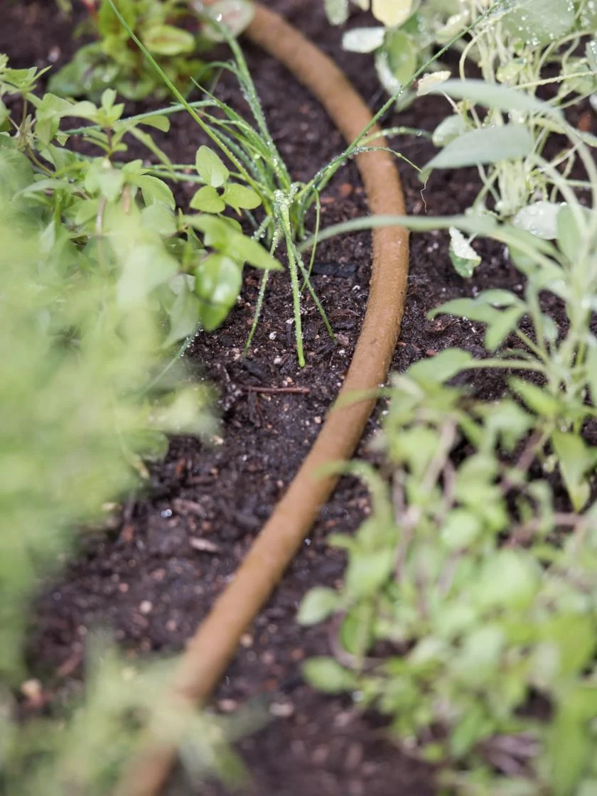 Premium 1/2" Soaker Hose - Image 4