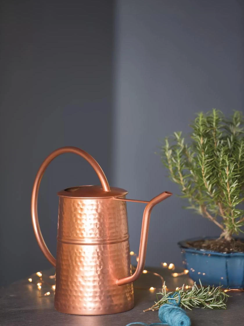 Copper Indoor Watering Can - Image 2