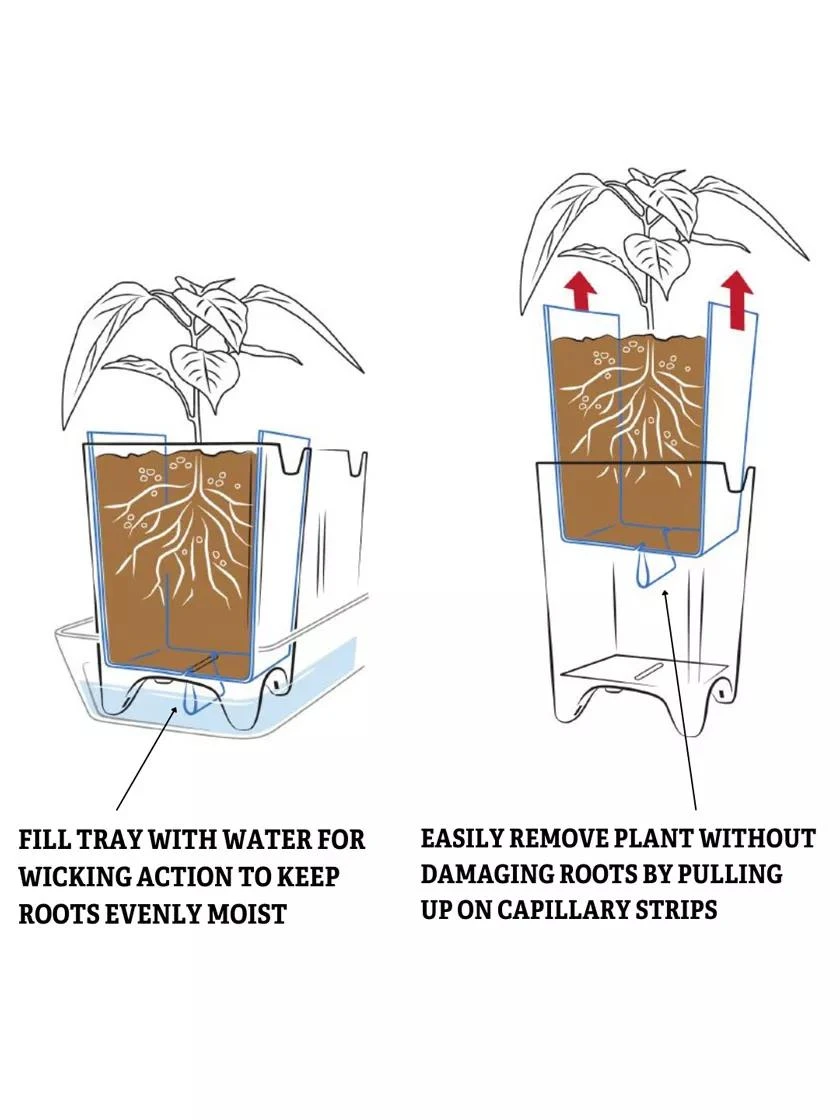 Pop-Out Pots, Set Of 4 - Image 6