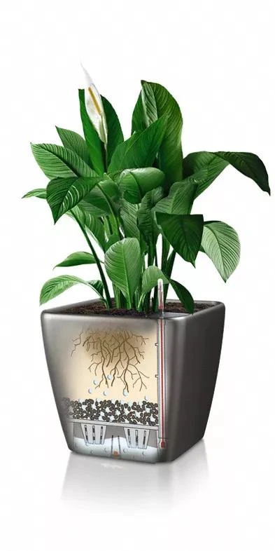 Lechuza® Quadro LS Premium Self-Watering Square Planters - Image 4