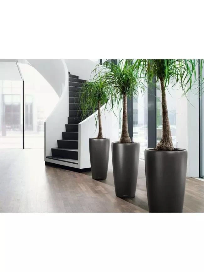 Lechuza® Rondo Self-Watering Planters - Image 4