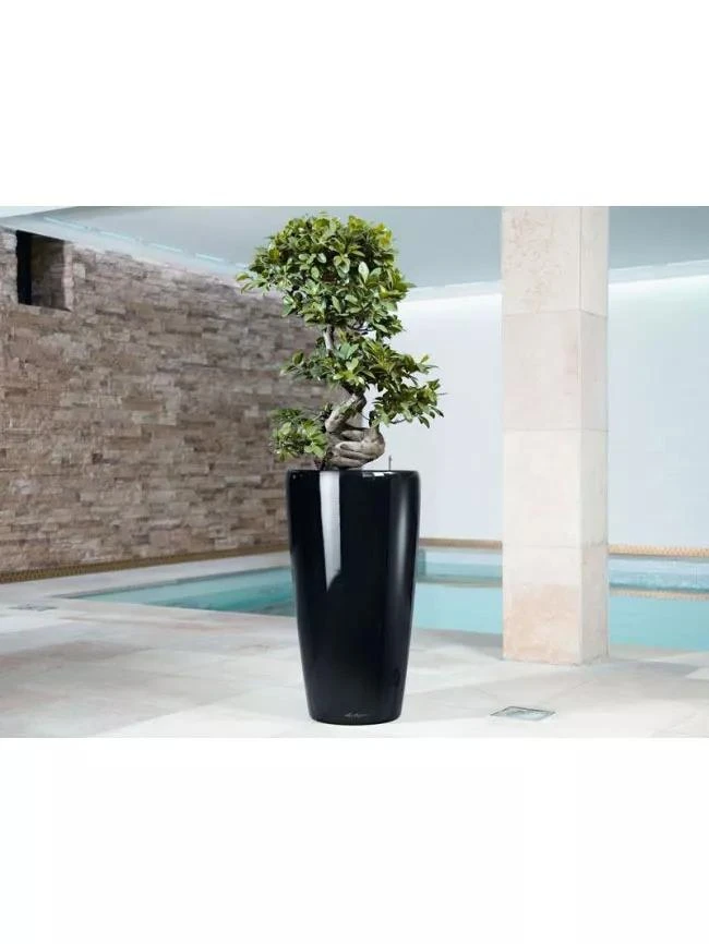 Lechuza® Rondo Self-Watering Planters - Image 2