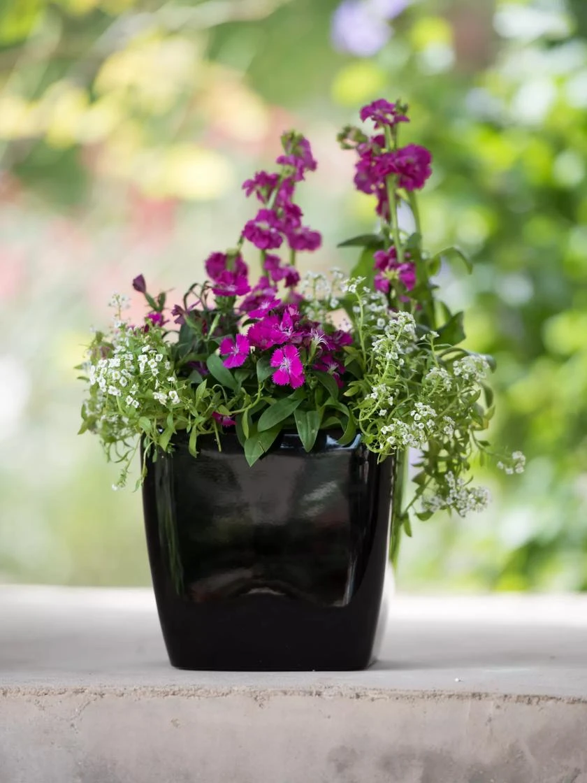 Viva Square Self-Watering Planter, 7" Diameter - Image 6