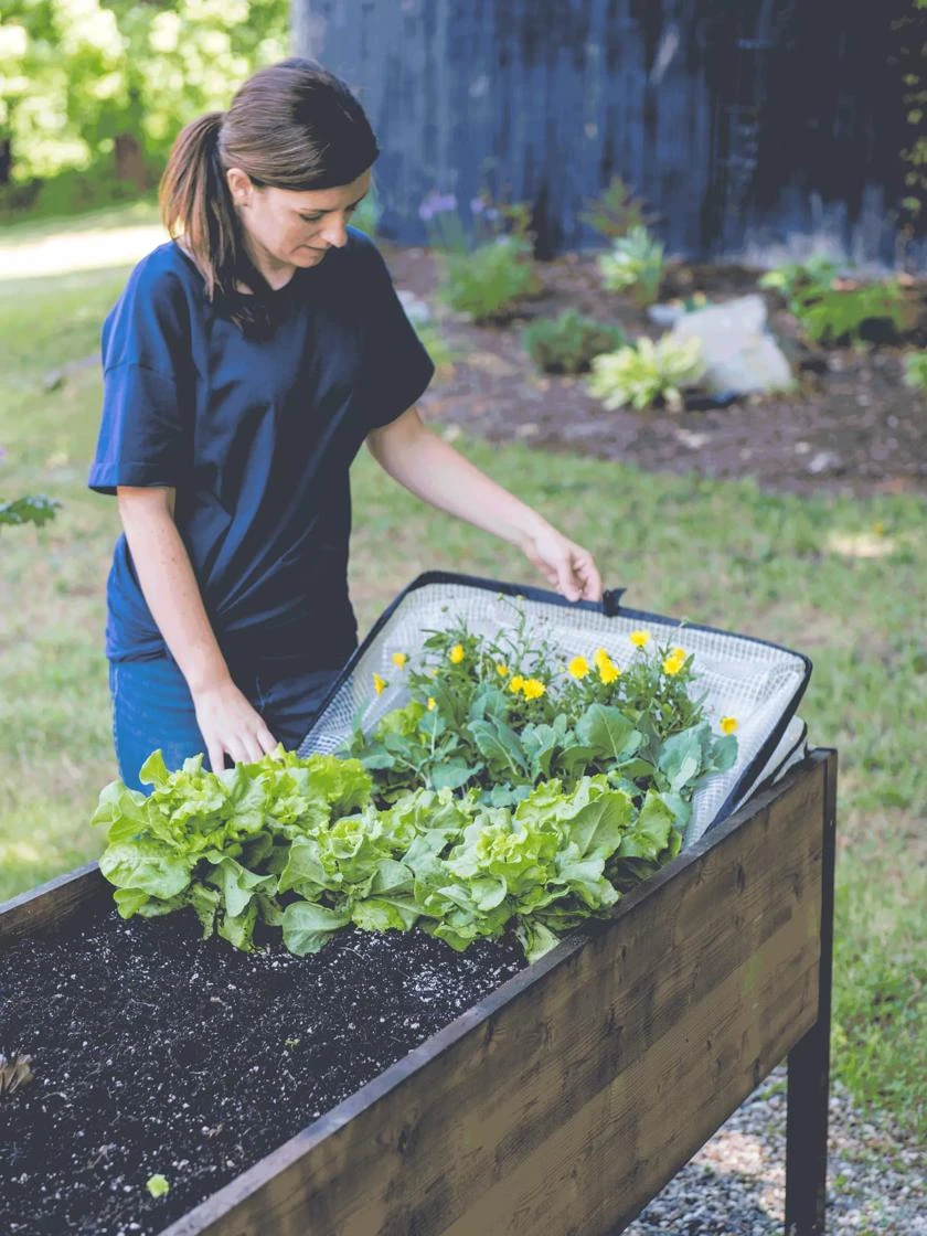 Pop-Up Crop Protector - Image 4