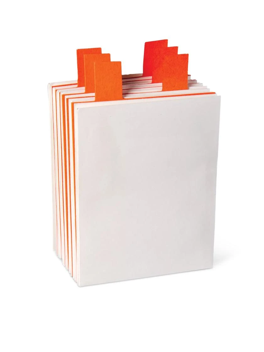 Seed Envelopes And Dividers