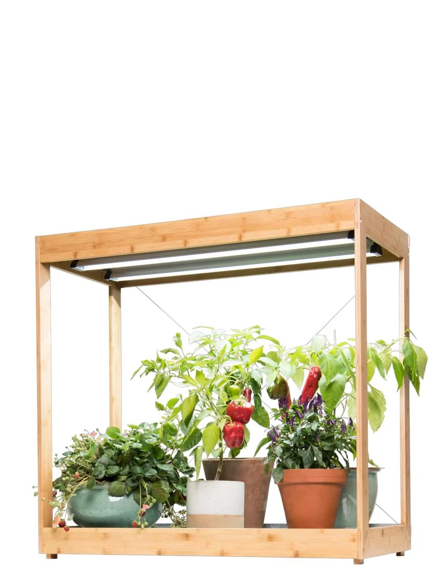 Medium Bamboo LED Grow Light Garden - Image 11