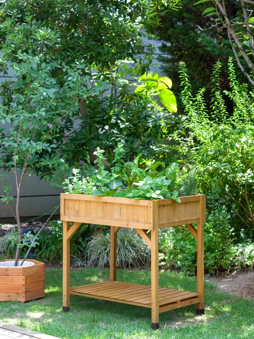 VegTrug® Herb Planter Box - Image 6