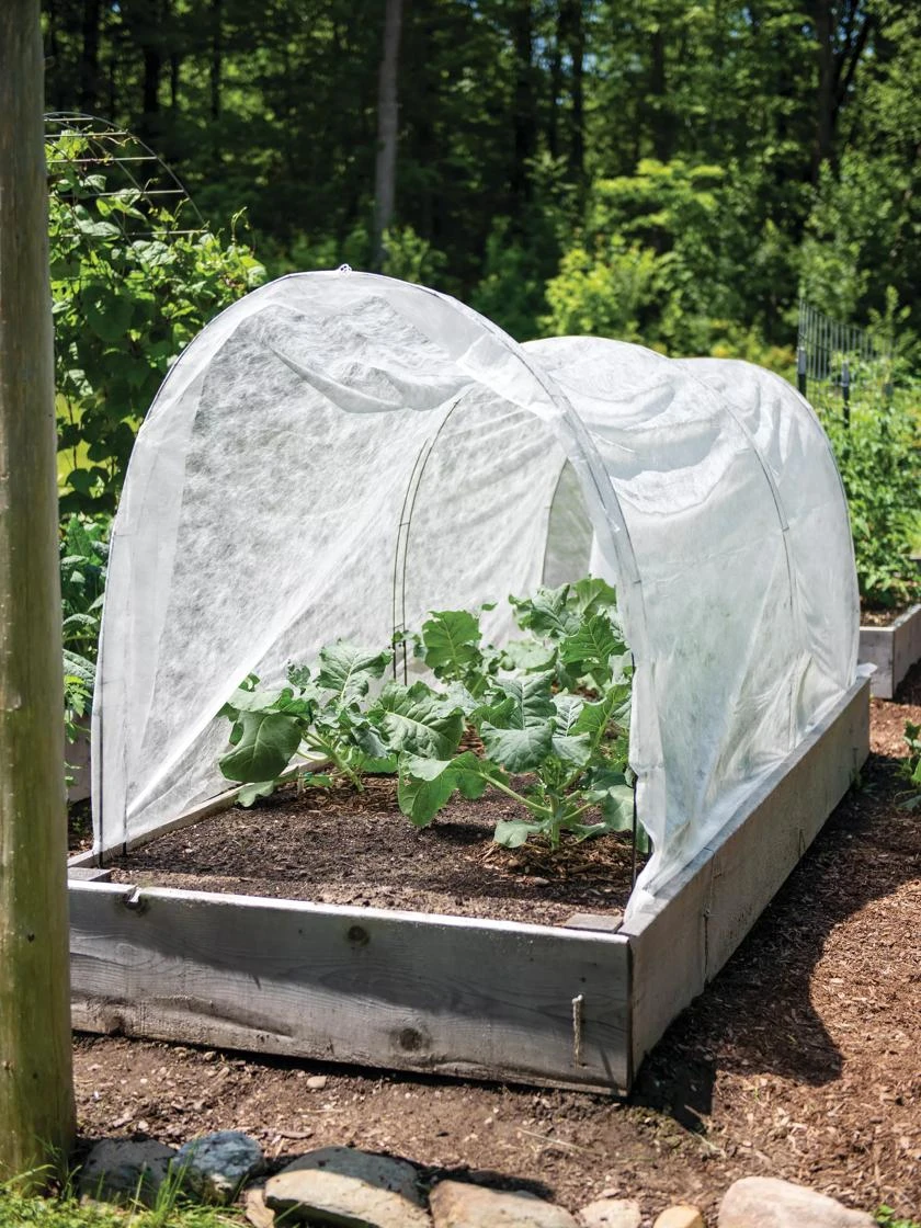 Adjustable Super Hoops, Set Of 3 - Image 2