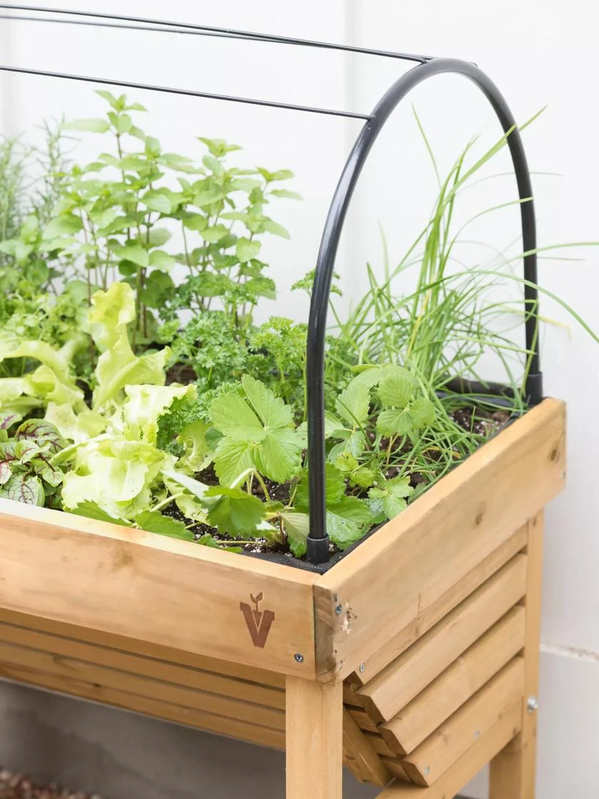 VegTrug® Mini Wallhugger Planter With Cover - Image 4