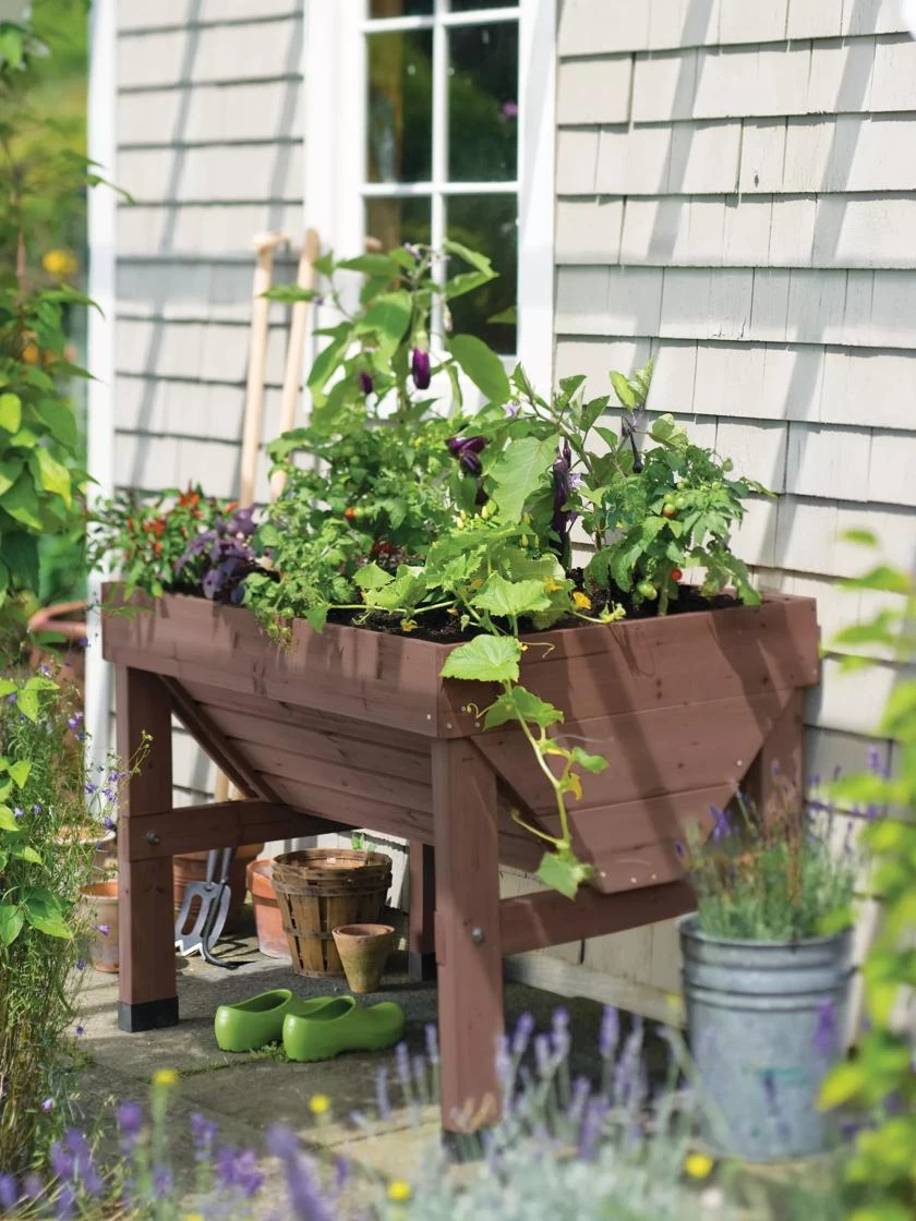 Compact VegTrugĀ® Patio Garden