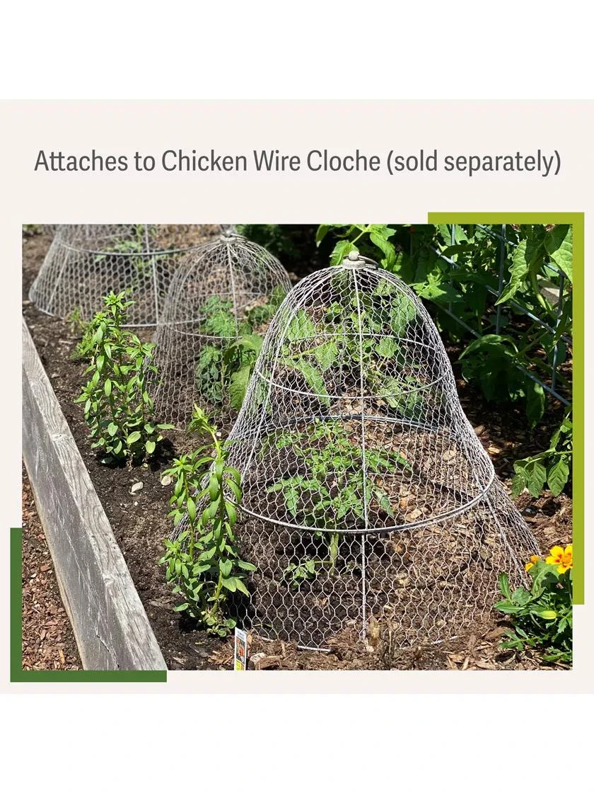 Chicken Wire Cloche Extension - Image 4