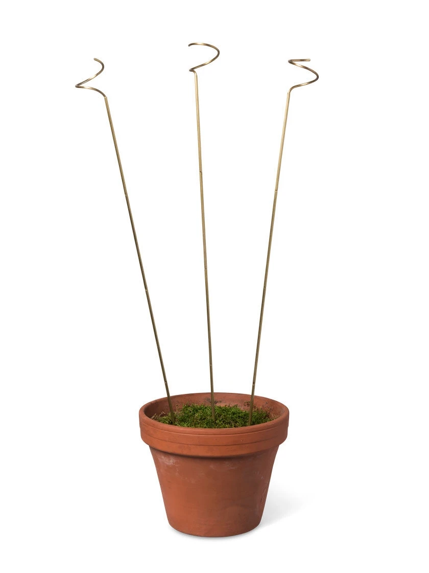 Adjustable Amaryllis Stakes, Set Of 3 - Image 2