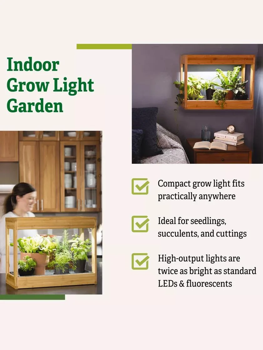 Bamboo Mini LED Grow Light Garden - Image 8