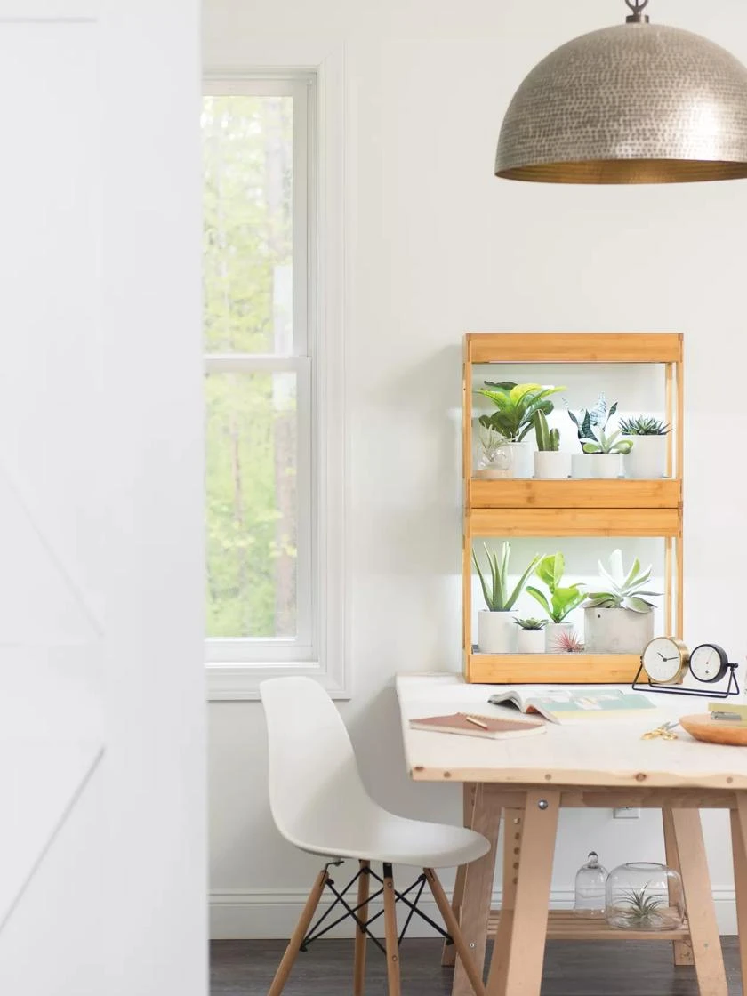 Bamboo Mini LED Grow Light Garden - Image 5