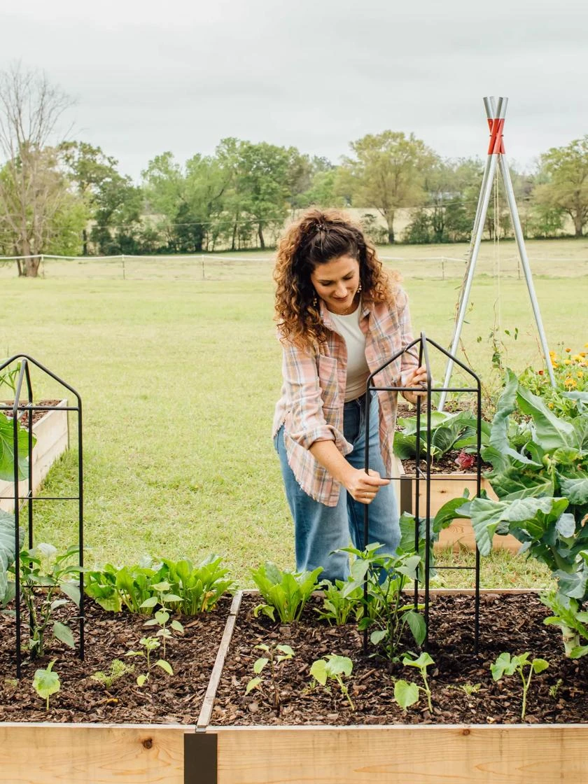 Zenith Folding Garden Supports, Set Of 2 - Image 5