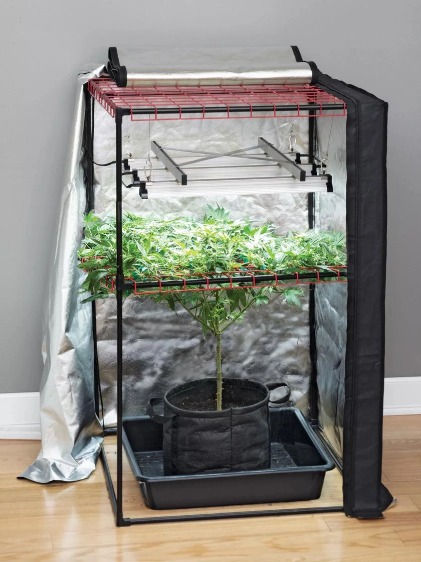 Hemp Grow Kit - Image 2