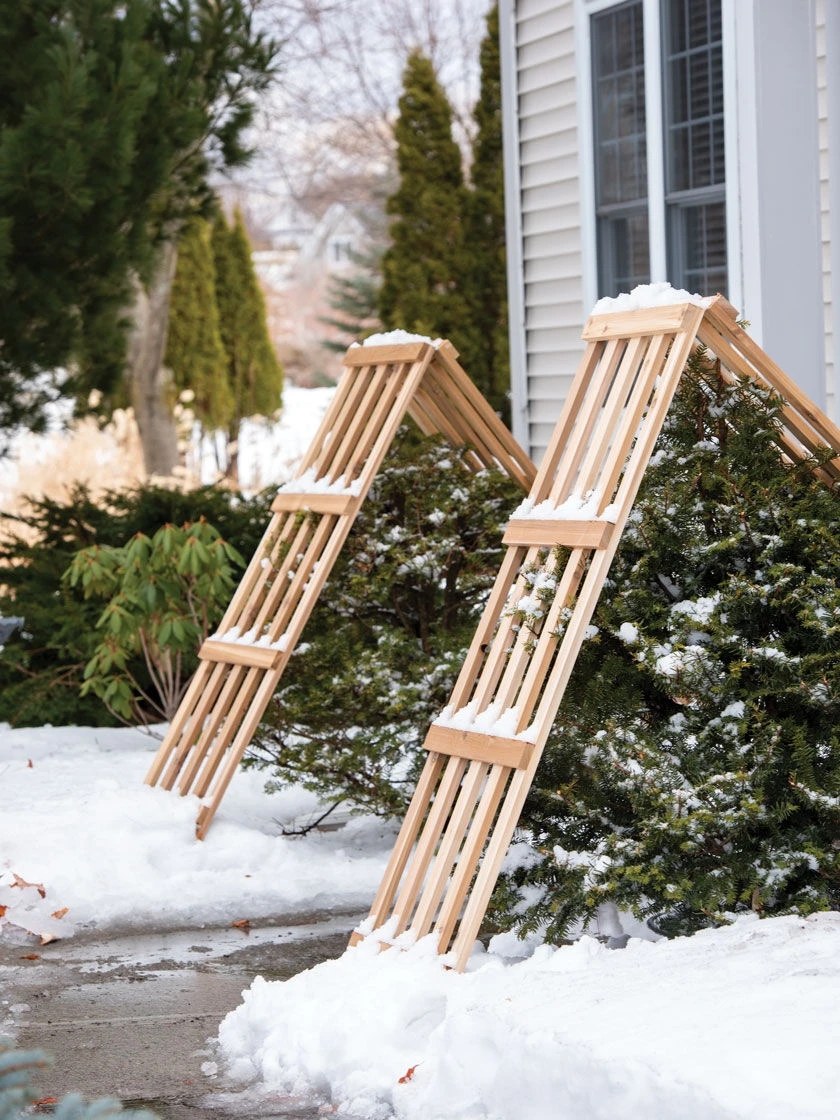 Cedar Shrub Guard - Image 4