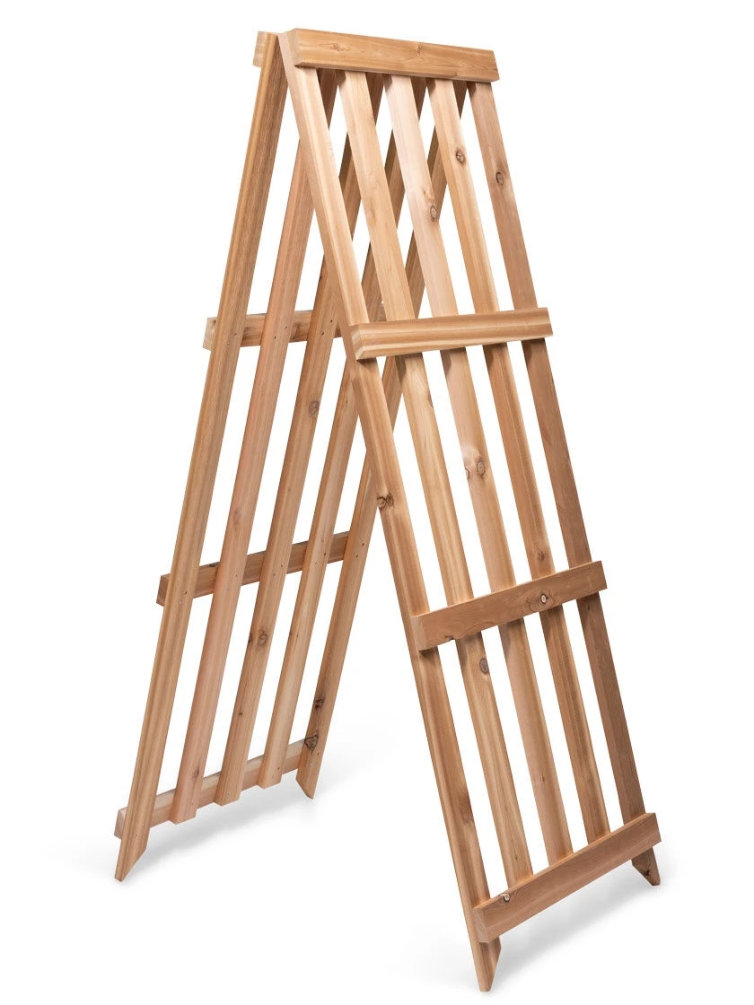 Cedar Shrub Guard - Image 7