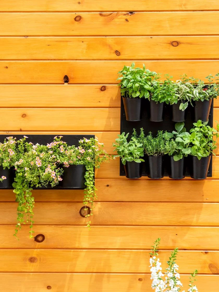 8 Pot Metal Wall Planter - Image 4