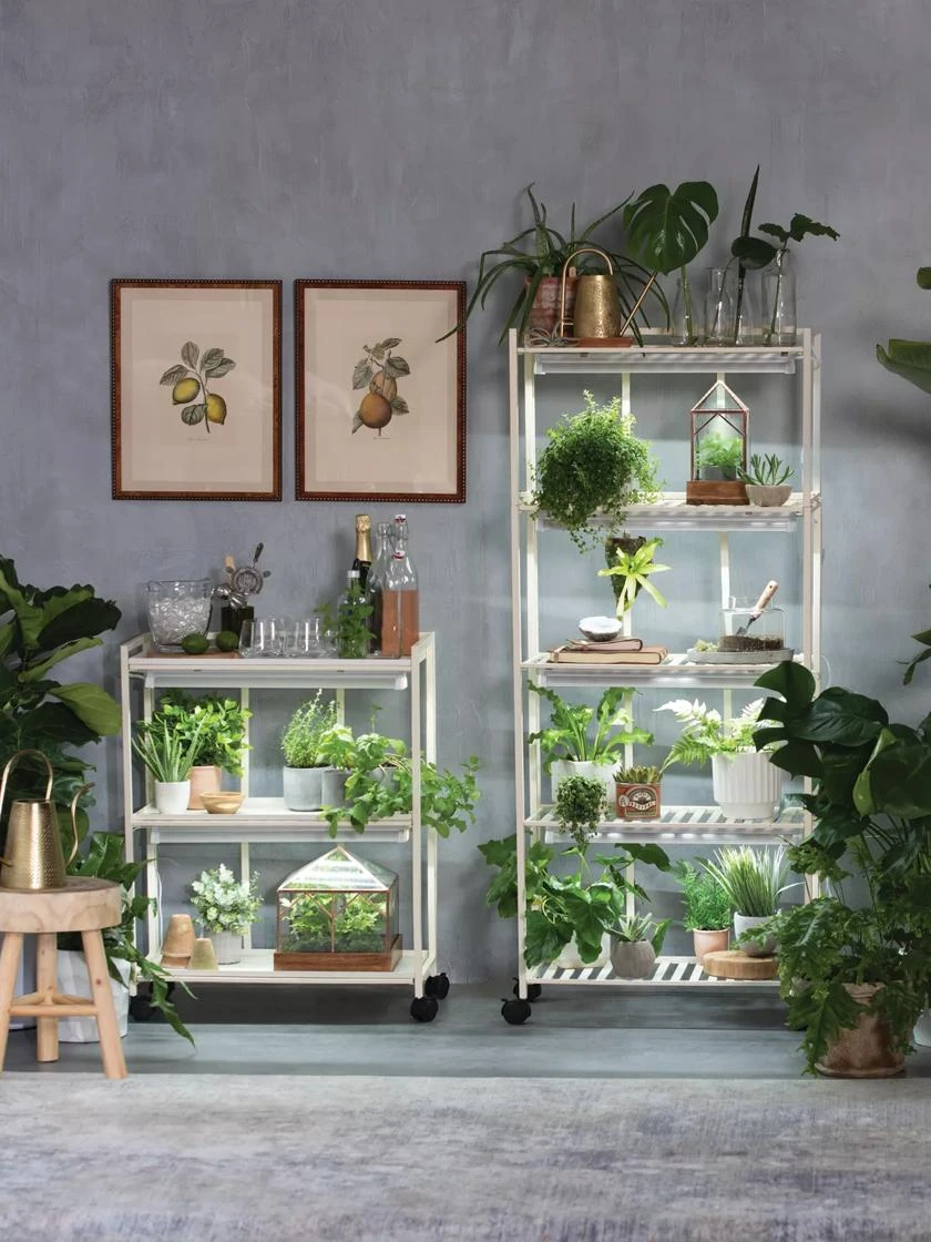 Oslo 2-Tier LED Grow Light Garden, 2 Fixtures - Image 2