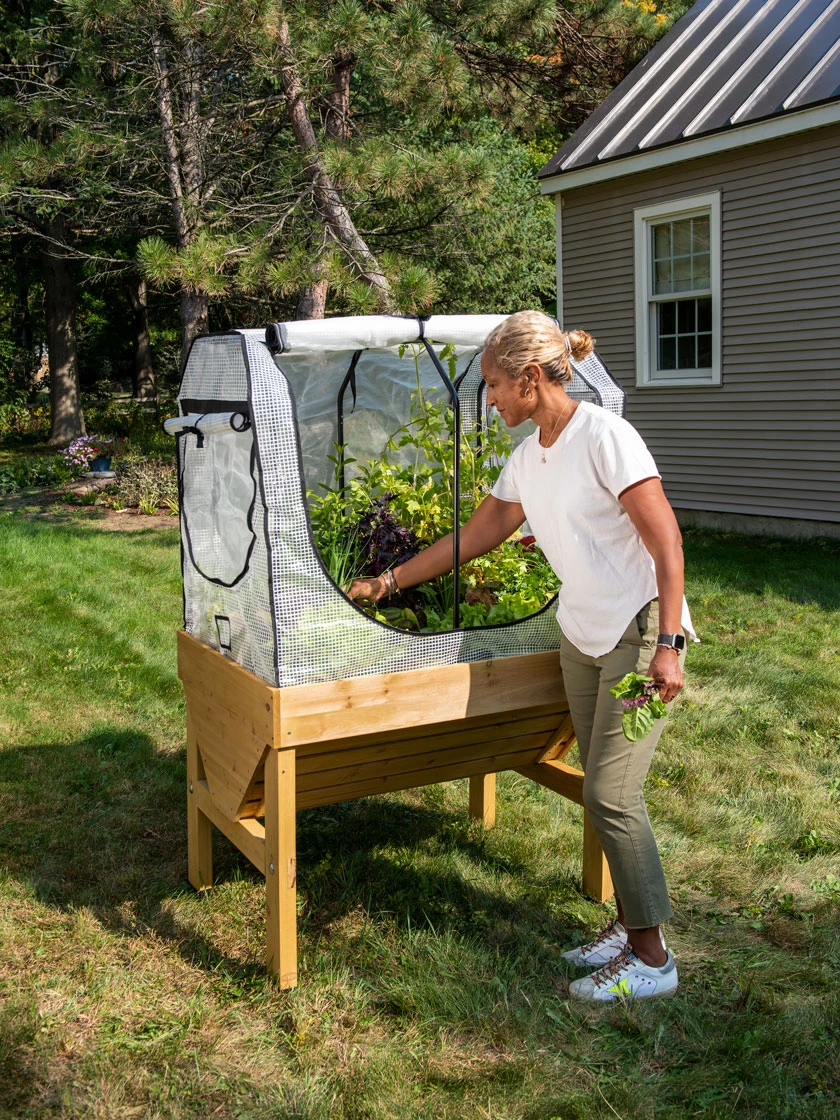 Compact VegTrugĀ® Greenhouse Cover Kit - Image 2