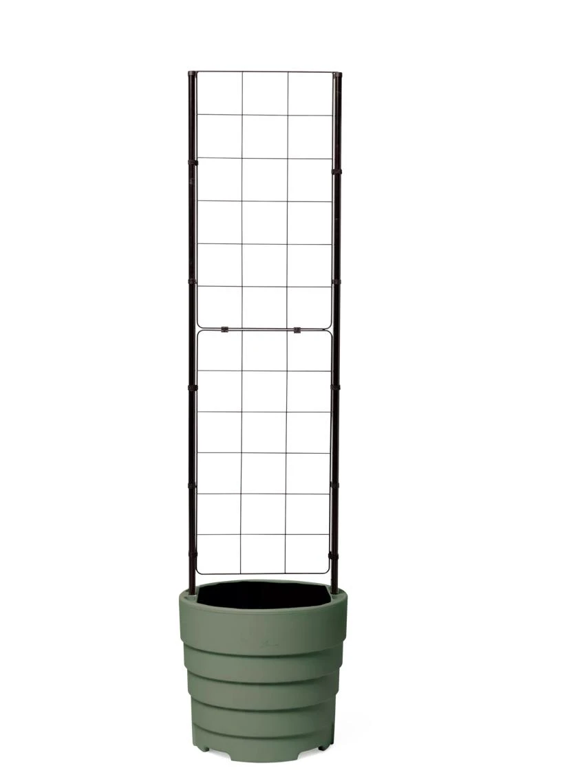 Gardener’s Victory Self-Watering Planter With Vine Trellis - Image 4