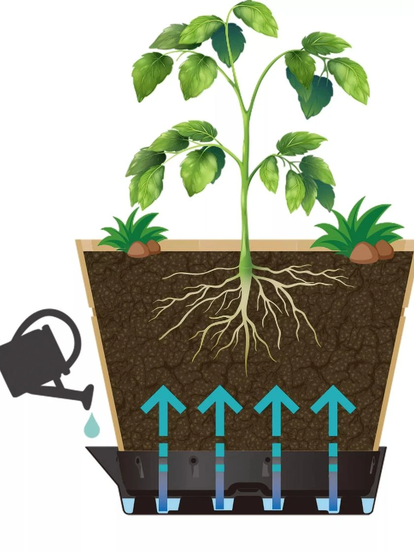 VegTrugĀ® Build-a-Barrel Wooden Planter With Self-Watering Reservoir Tray, 18" - Image 3