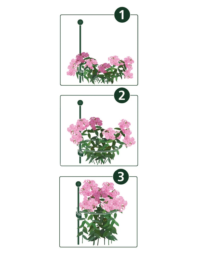 Peacock Mini Plant Support Rings 4", Set Of 2 - Image 2