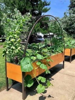 2β X 8β Arch Trellis For Planter Boxes