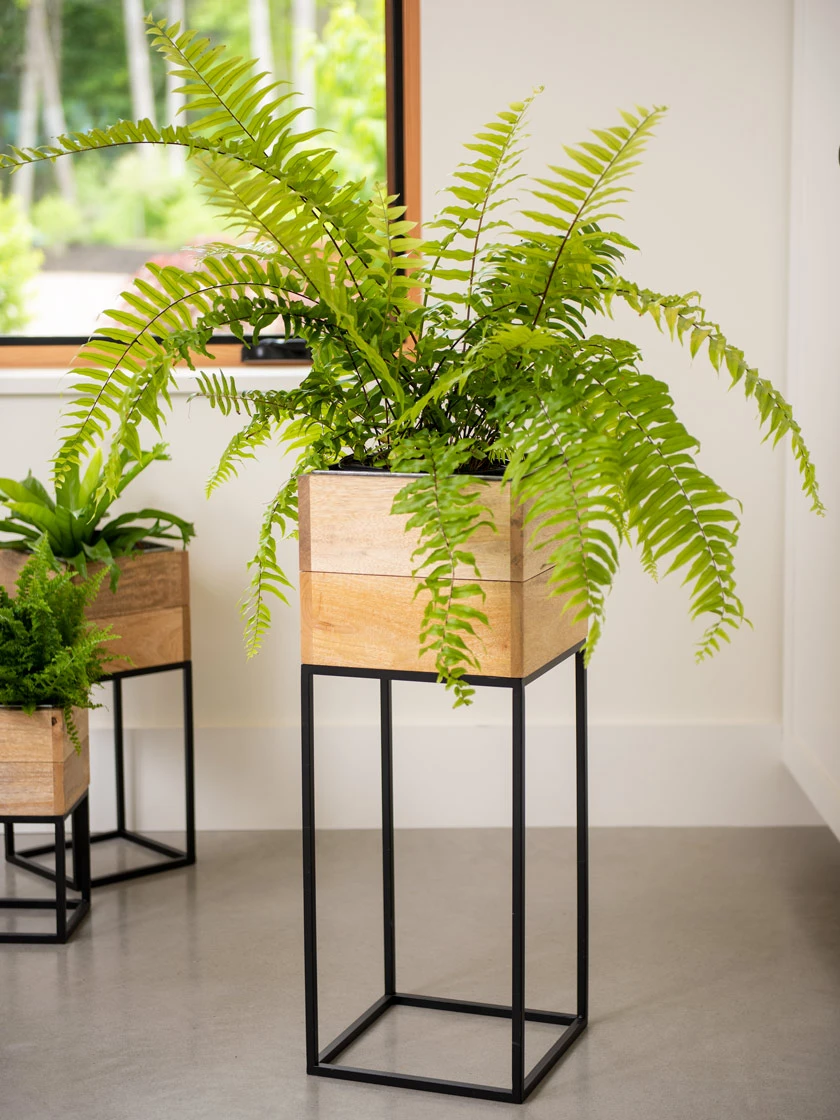 Tartu Elevated Square Planters - Image 2