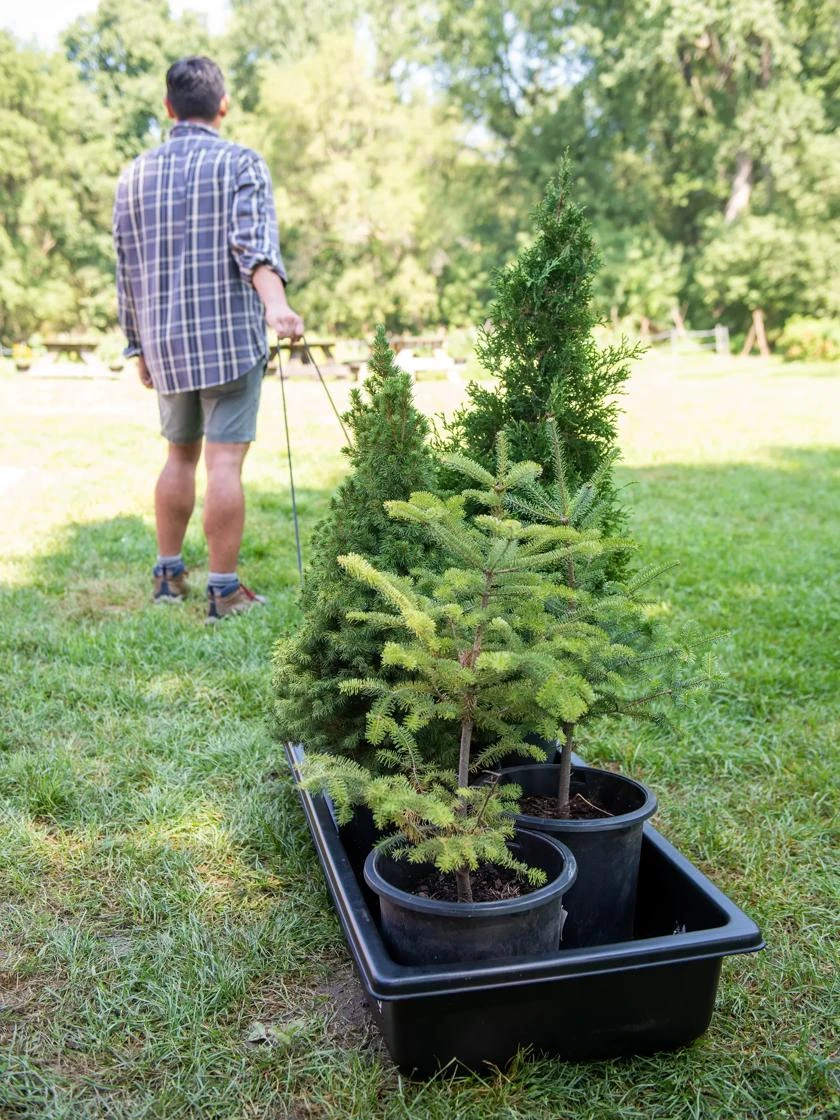 Gardener's Summer Sled And Cover - Image 2