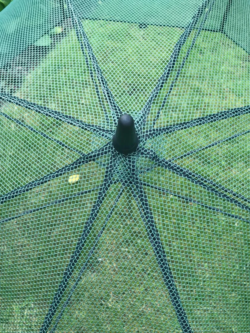 GardenSkill Pop N Crop Plant Umbrella - Image 5